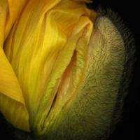 /photo/574145/pretty wife/135710274077603[1]_1_1_small.jpg